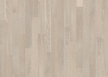 ARCTIC OAK