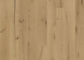 TEXTURE ROHOPTIC
